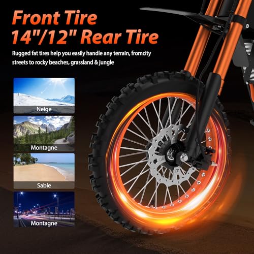 14"/12" Fat Tire 2000W Electric Dirt Bike with 48V 21AH Battery P793506
