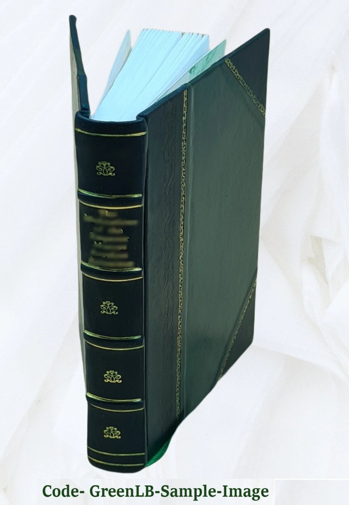Leather Bound Book D508