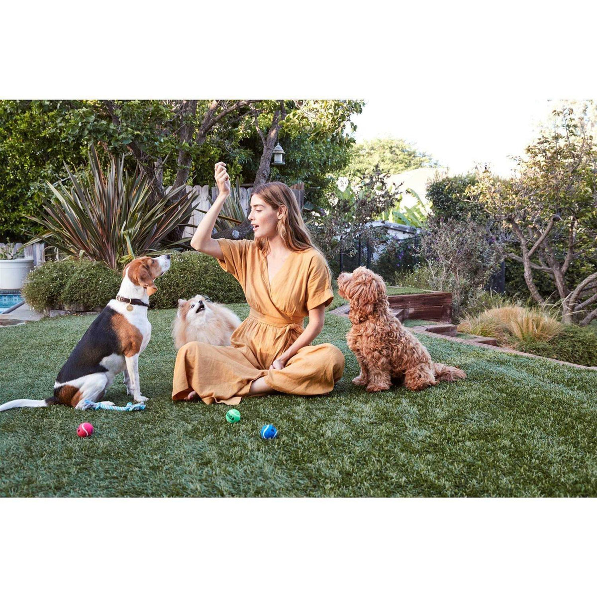 All Natural Chicken Jerky Dog Treats O830