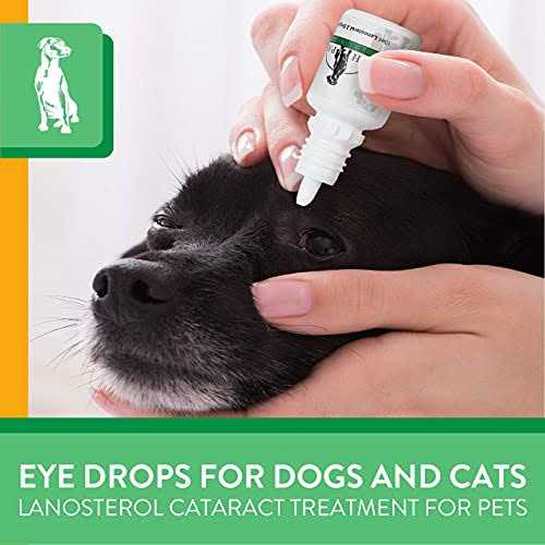 Advanced Lanosterol Solution + NAC Pet Supplies V1876