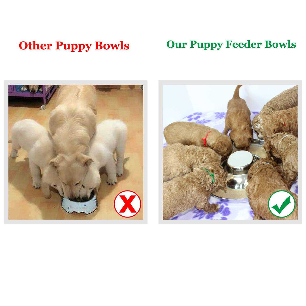 Stainless Steel Puppy Feeding Food and Water Bowls G6120