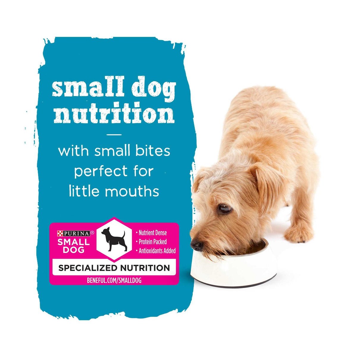Small Breed Wet Dog Food Variety Pack N993