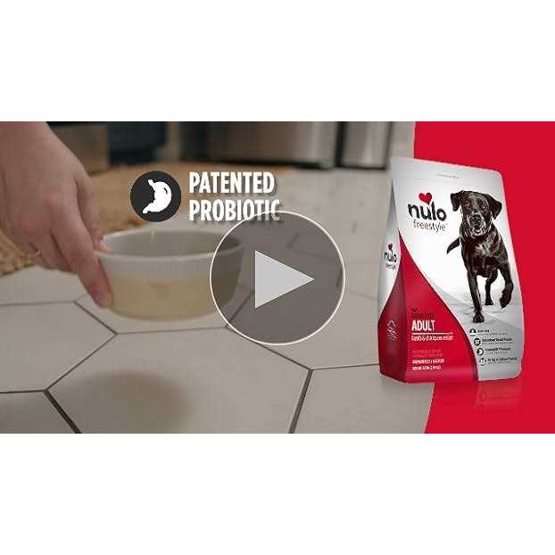Grain-Free Dry Dog Food L880