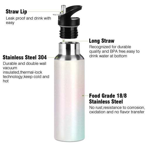 20 OZ Stainless Steel Vacuum Insulated Water Bottle with Straw Lid Q569002