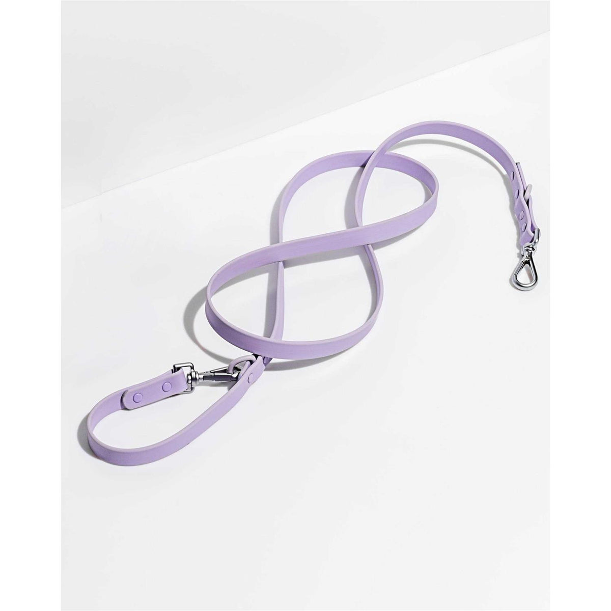 Dog Leash F851584
