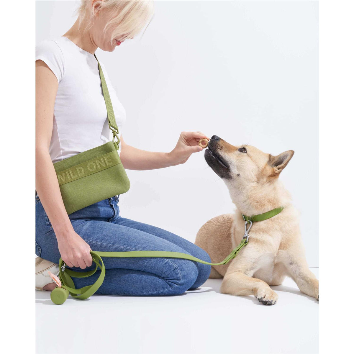 Dog Leash F851584