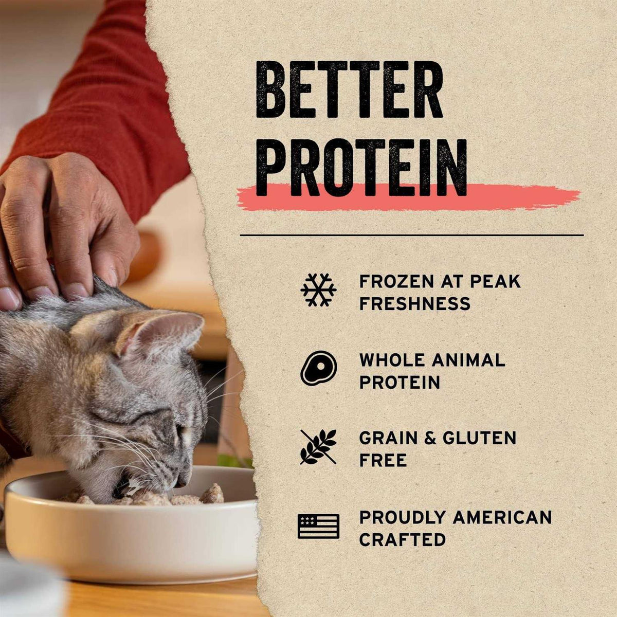 Freeze-Dried Raw Duck Cat Food I778827