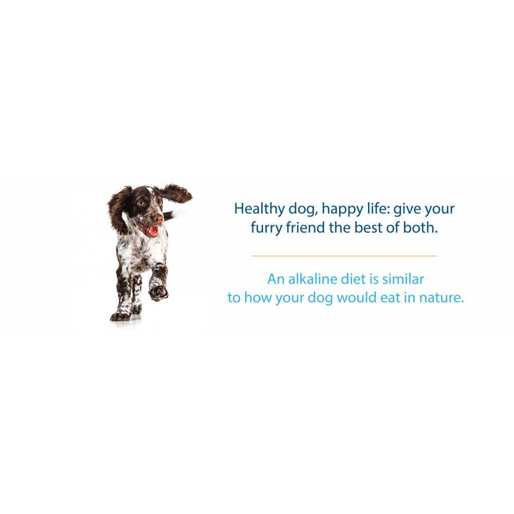 Grain-Free Dry Dog Food E879782