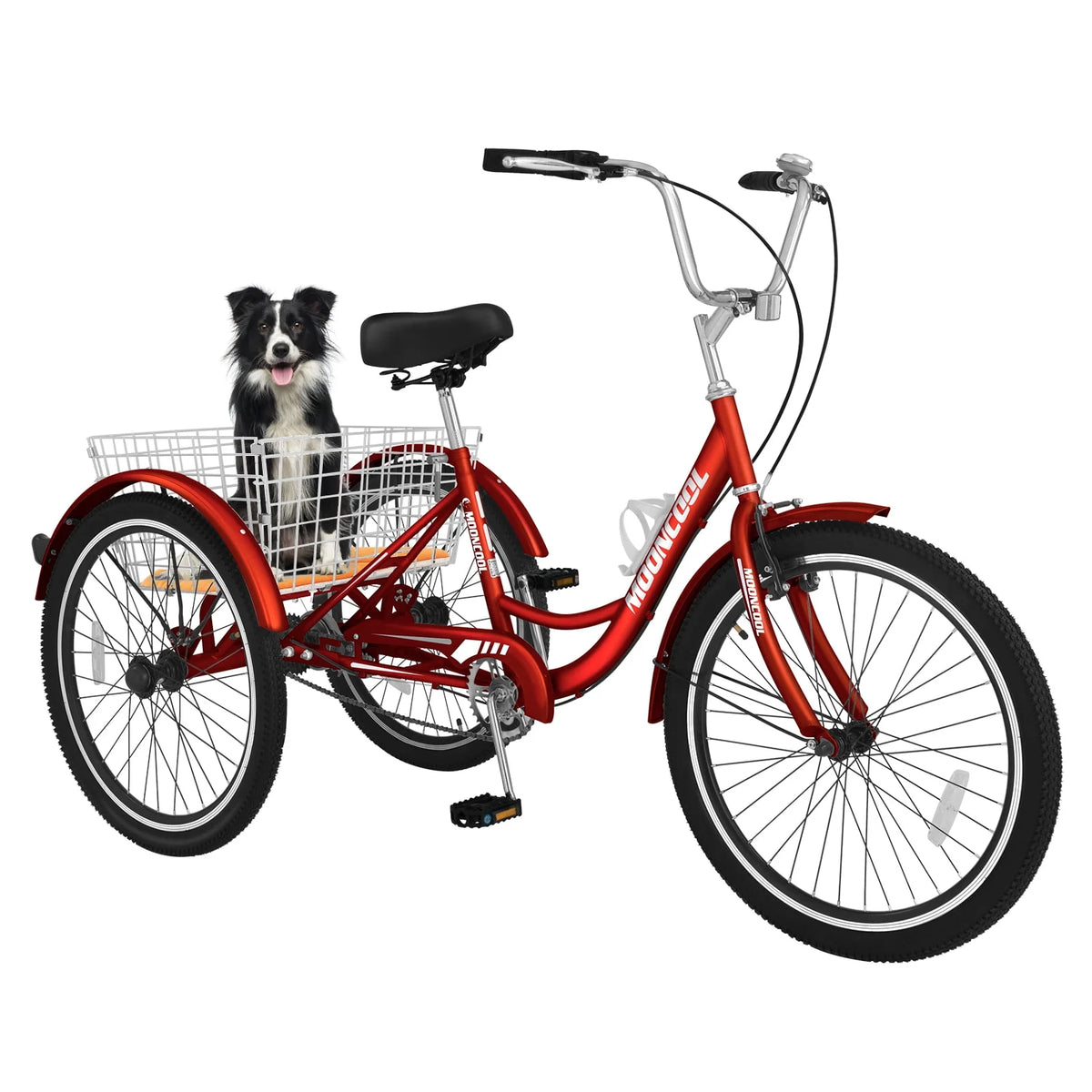 24 Single Speed Tricycle with Basket Z425638