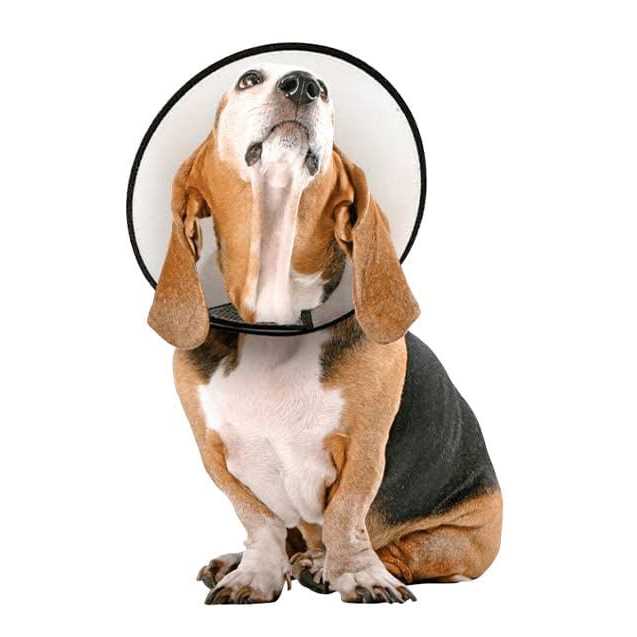 Protective Cone Collar R723255
