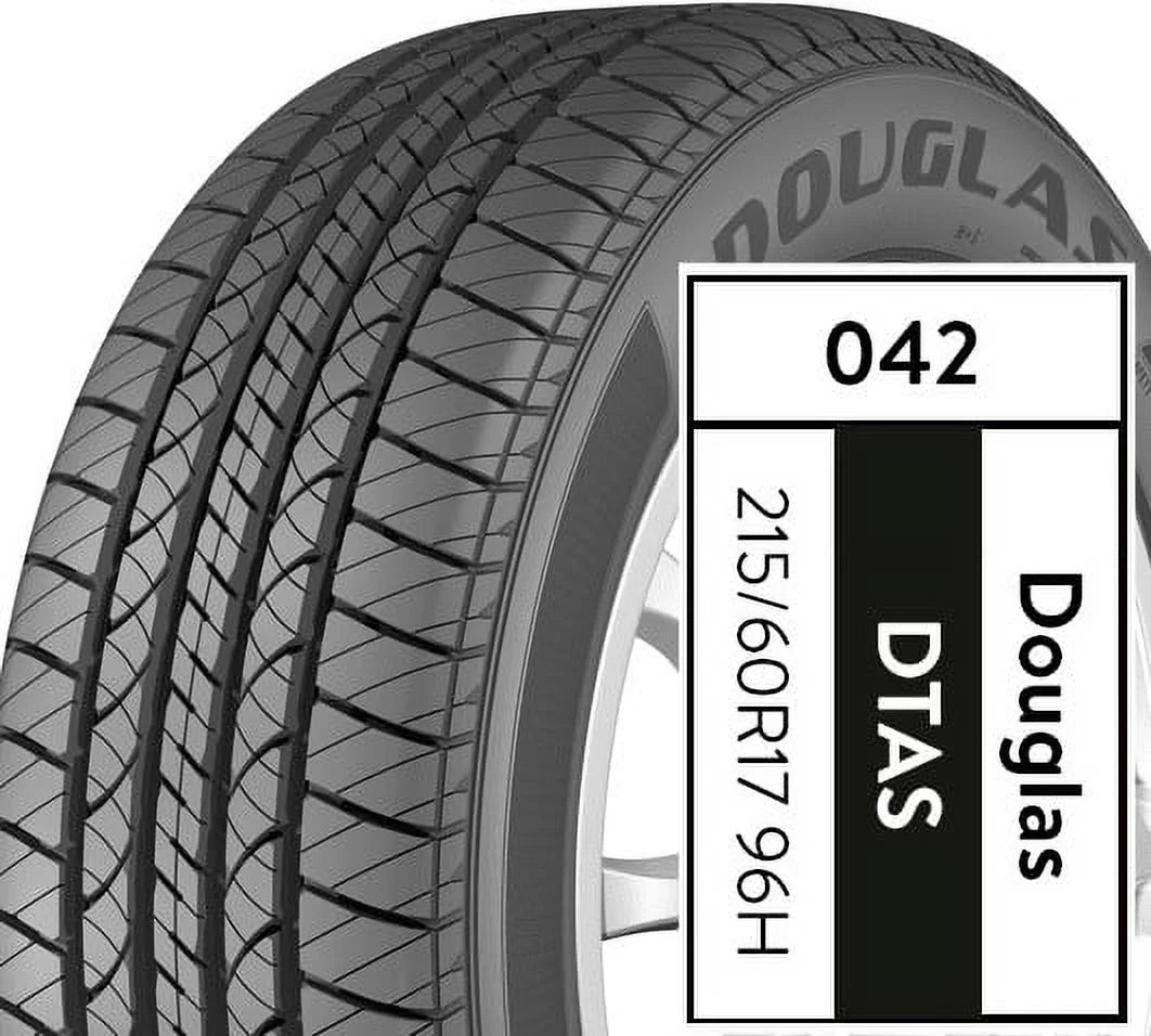 All-Season Tire V179087