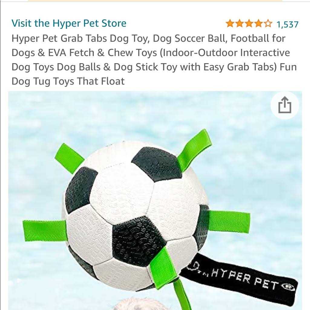 Soccer Ball Dog Toy F8491