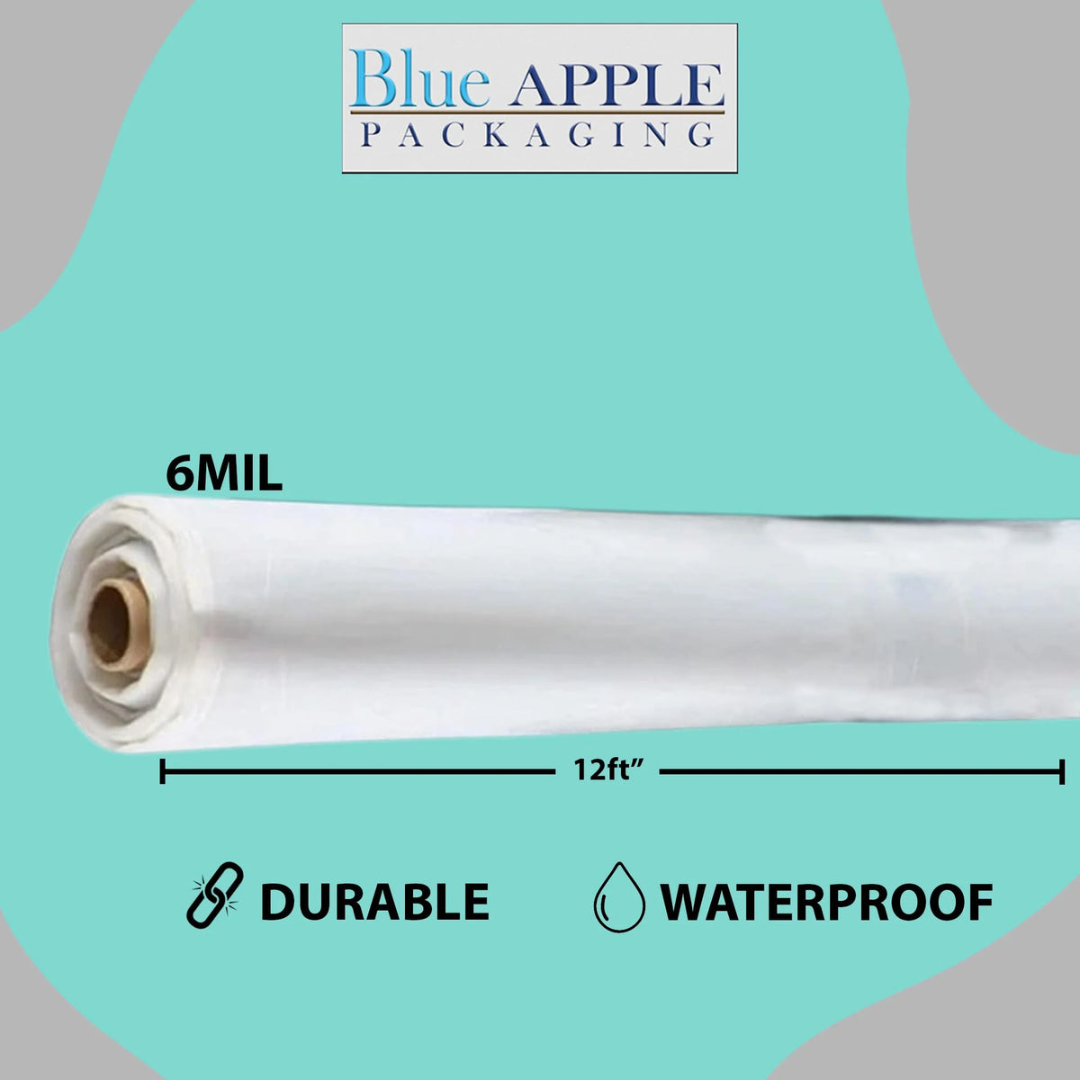 6Mil Clear LDPE Plastic Sheeting Tarp (12ft x 100ft) C258