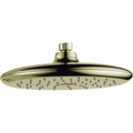 Polished Brass Single-Setting Shower Head O358044
