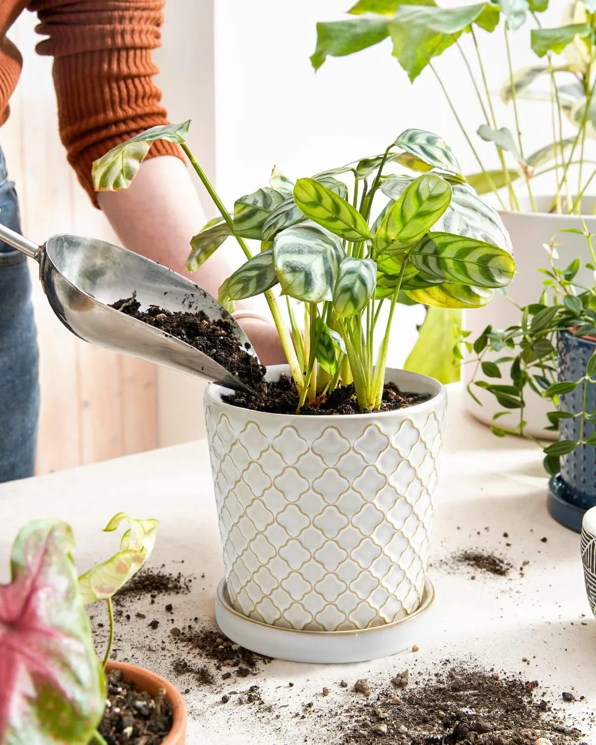 5.4 Inch Embossed Ceramic Plant Pots with Drainage, Set of 2, White Q496115