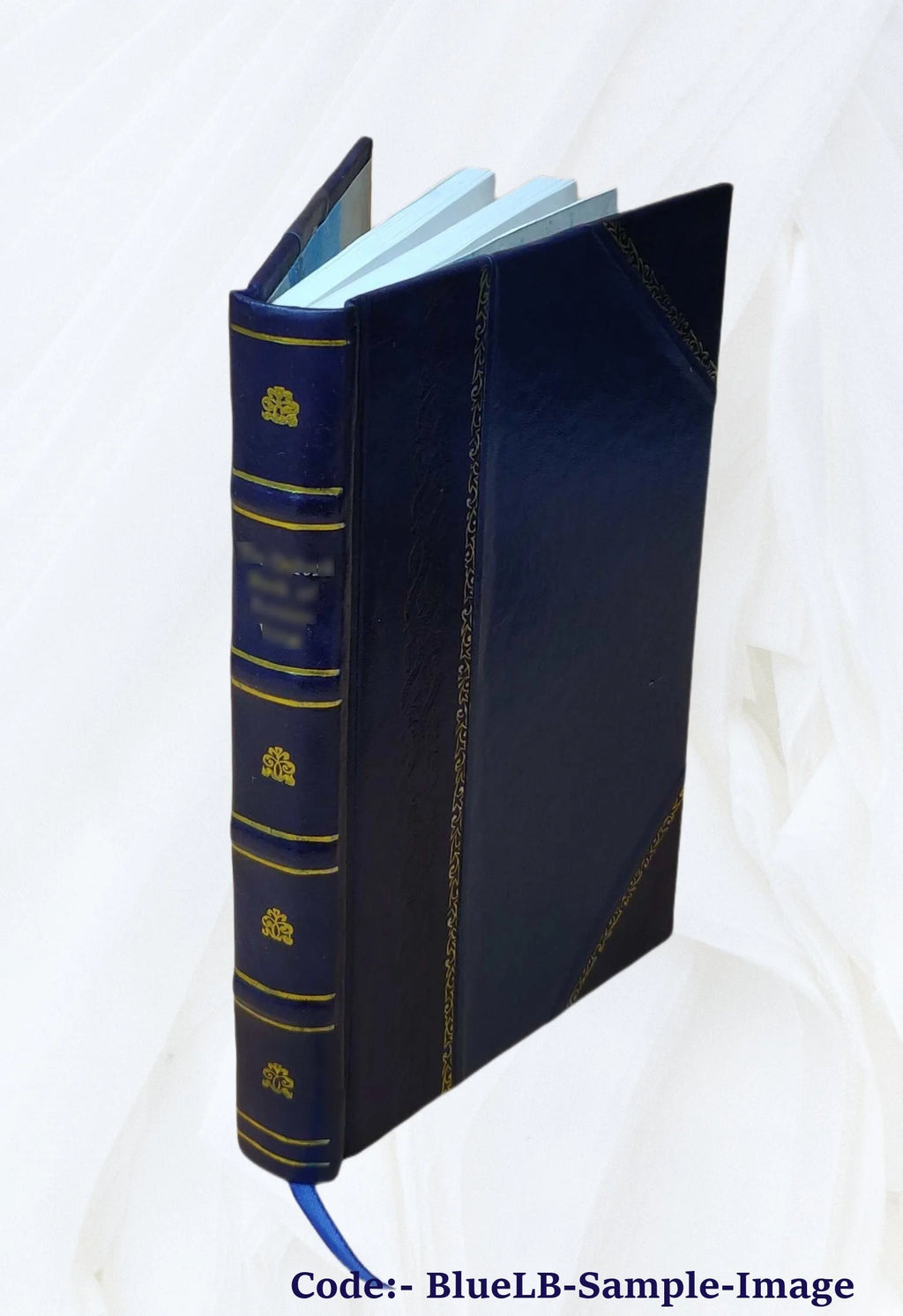 Leather Bound Book D508