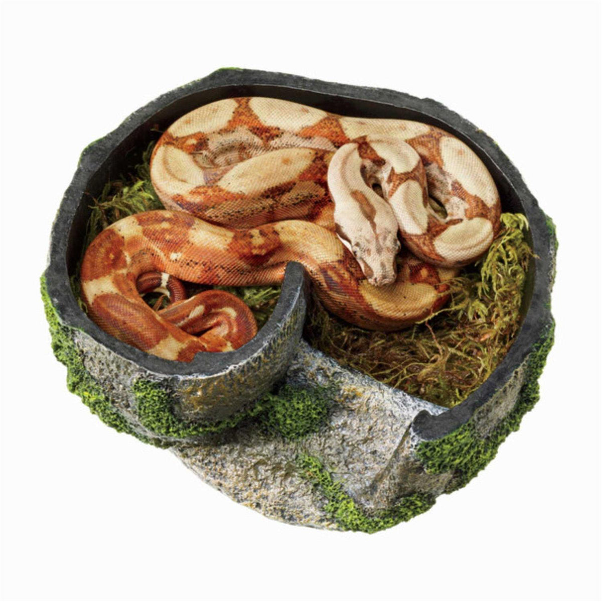 Rock Lair T8606