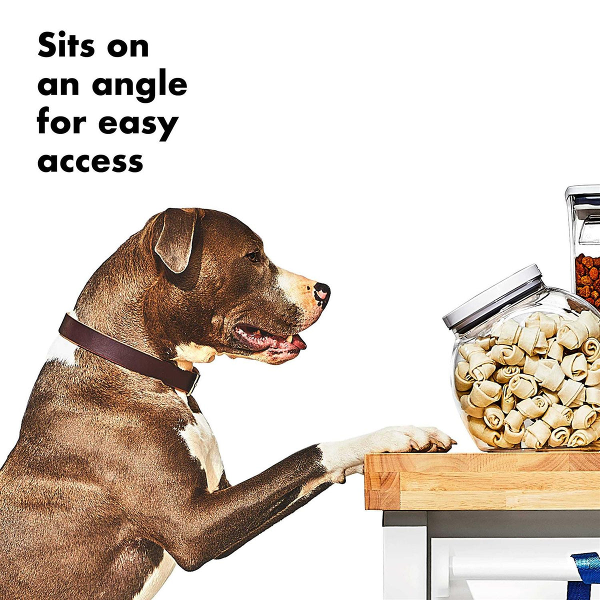 Pet Container Y20146