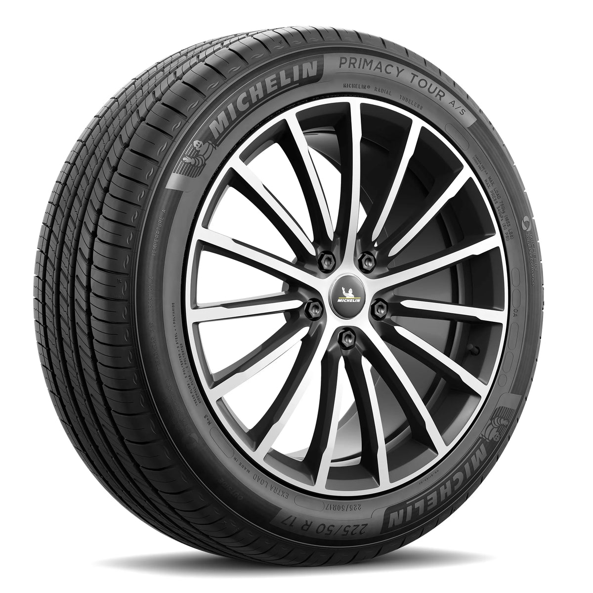 All-Season Tire 255/50R19/XL 107H R699