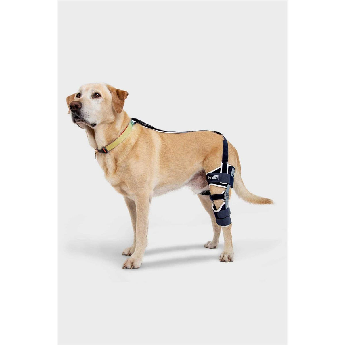 Adjustable Hinged Dog Knee Brace E15396