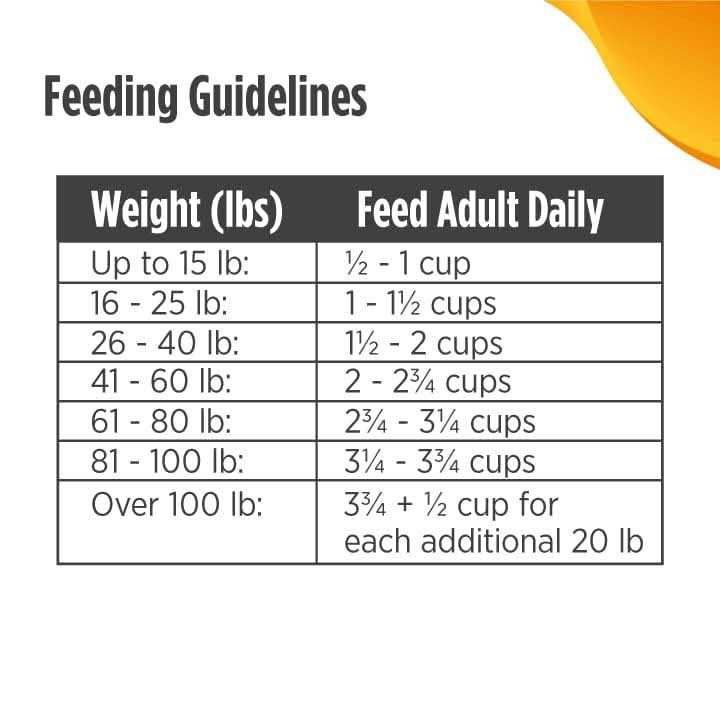 Grain-Free Dry Dog Food L880