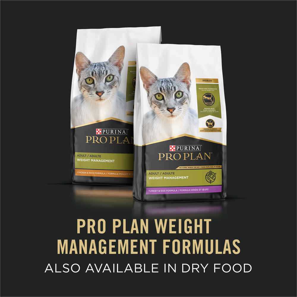 Weight Management Ground Turkey & Rice Canned Cat Food F991598