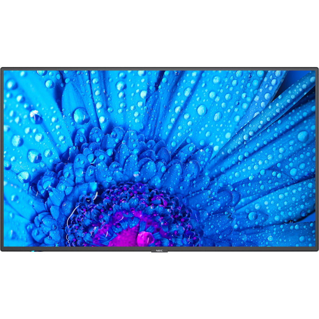 Black 43" 3840 x 2160 (4K) LED LCD Monitor Y5723