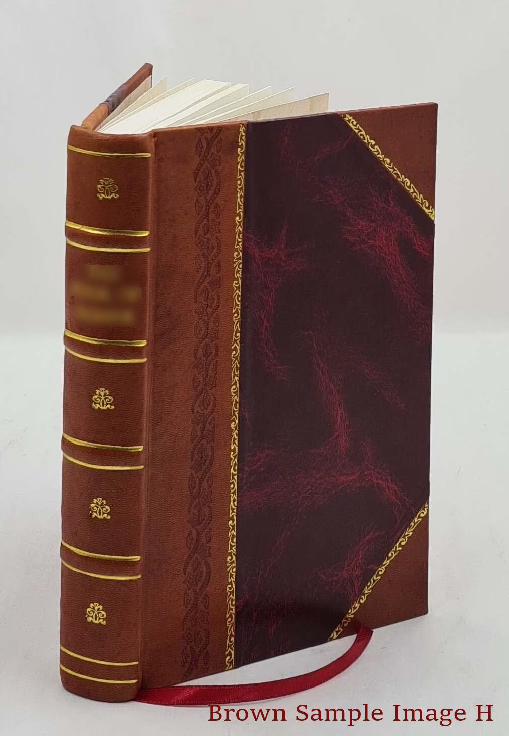 Leather Bound Book D508