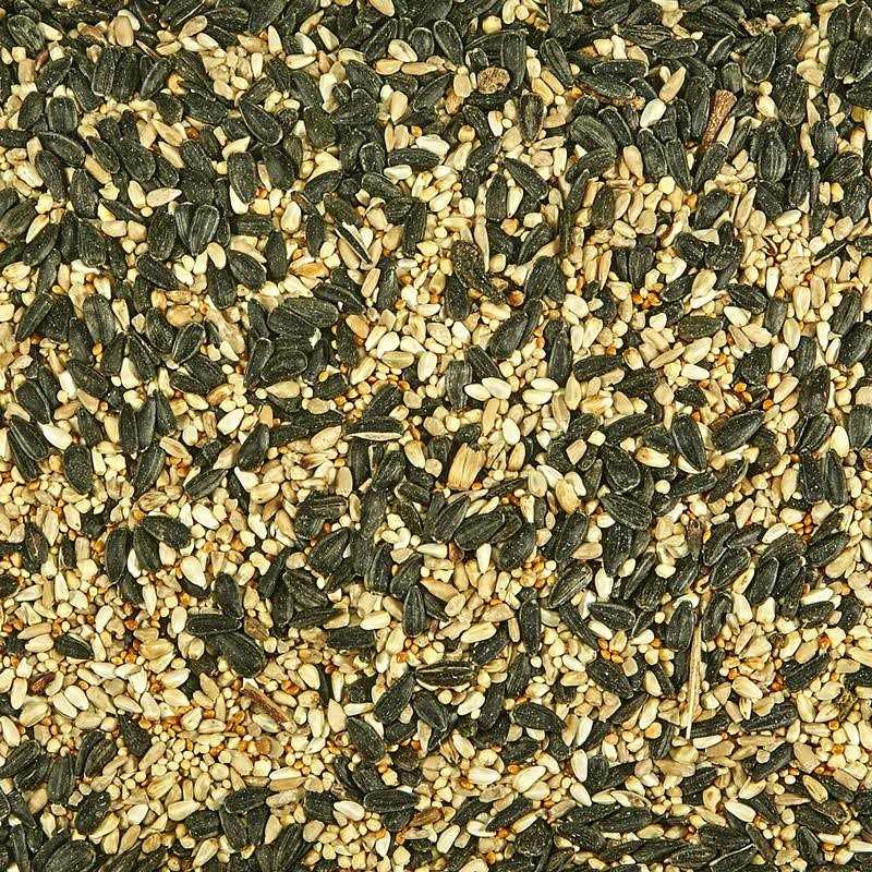 Wild Bird Food B811