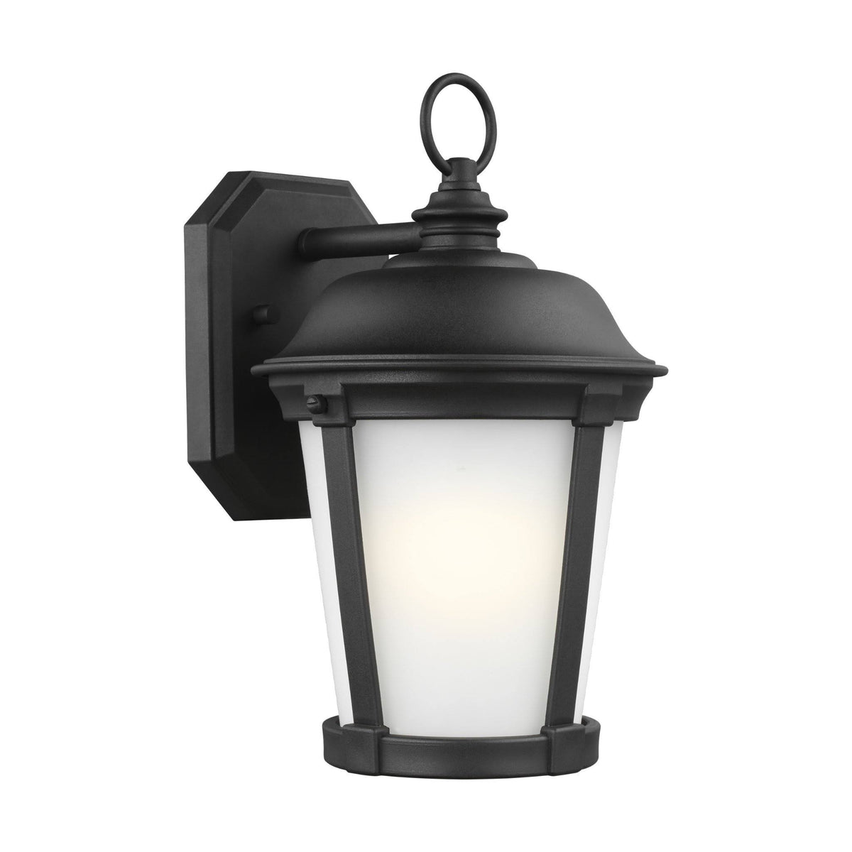 Black Outdoor Wall Lantern F511