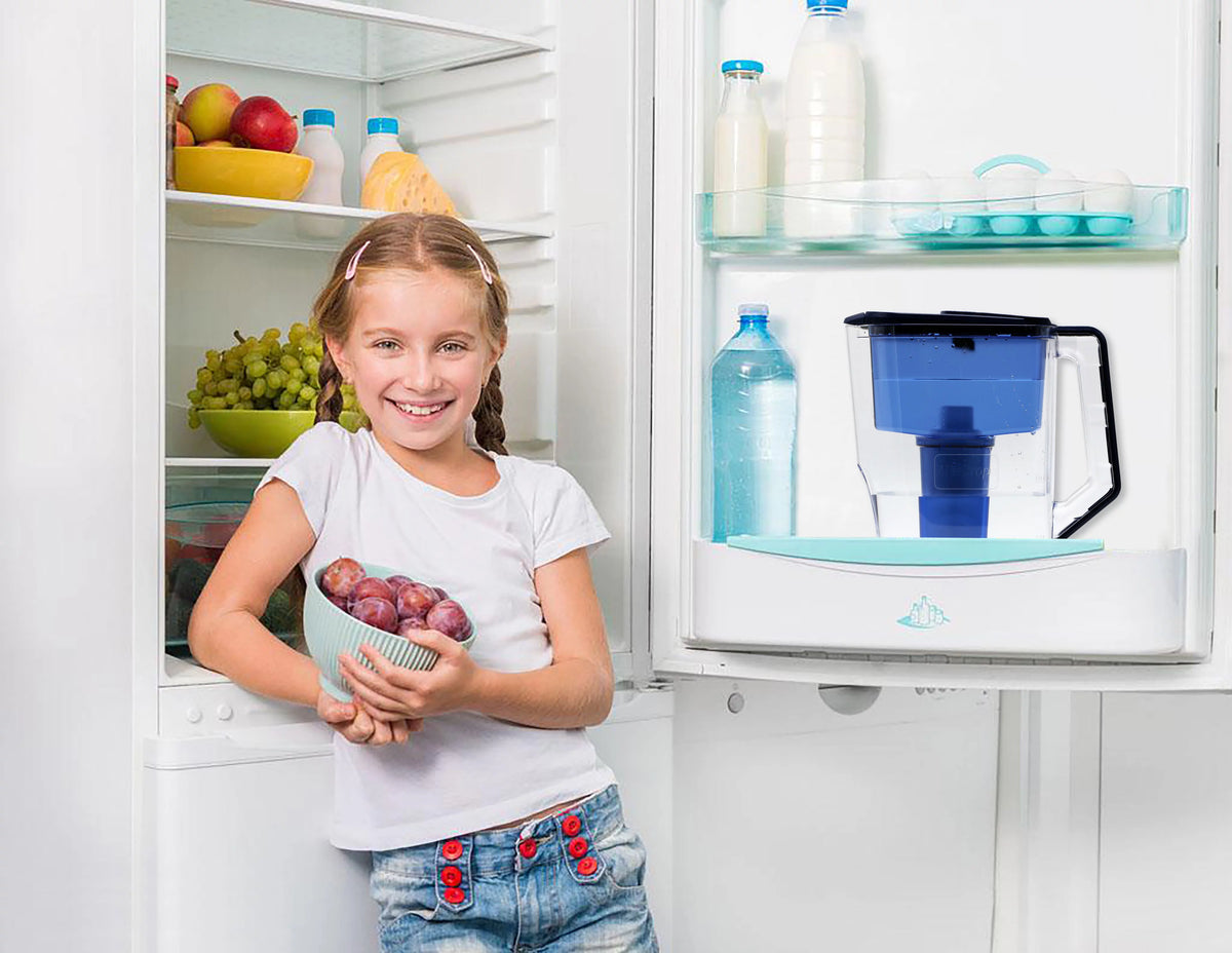Alkaline Water Pitcher with Replaceable Filter V258