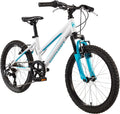20'' Mountain Bike T3848