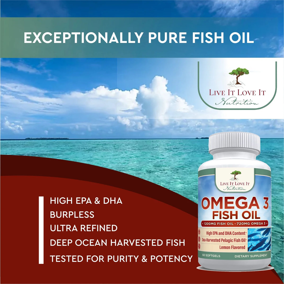 Omega 3 Fish Oil G197