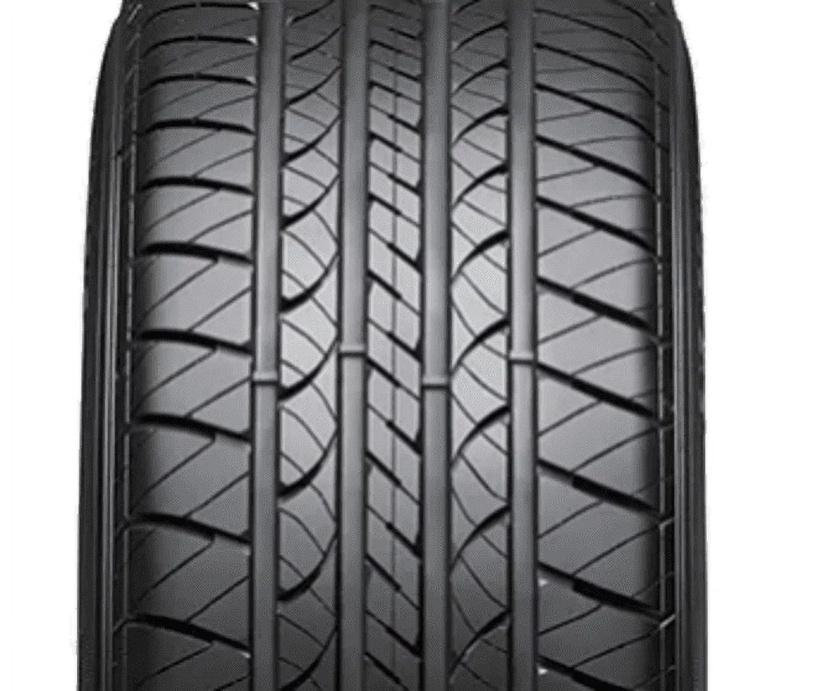 All-Season Tire V179087