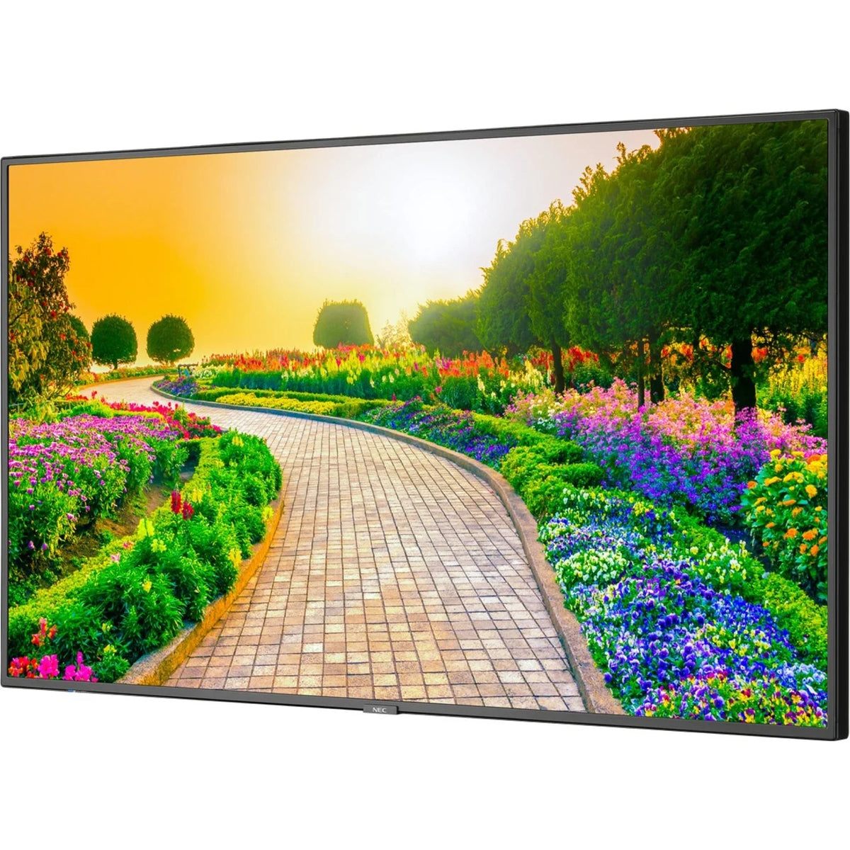 Black 43" 3840 x 2160 (4K) LED LCD Monitor Y5723