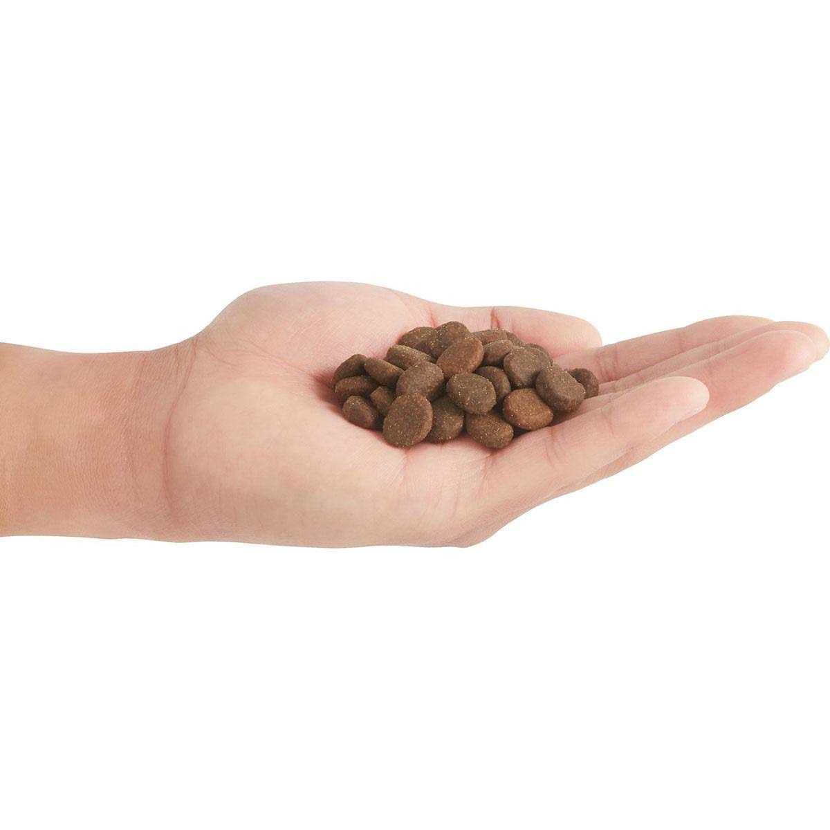 Dry Dog Food N17330