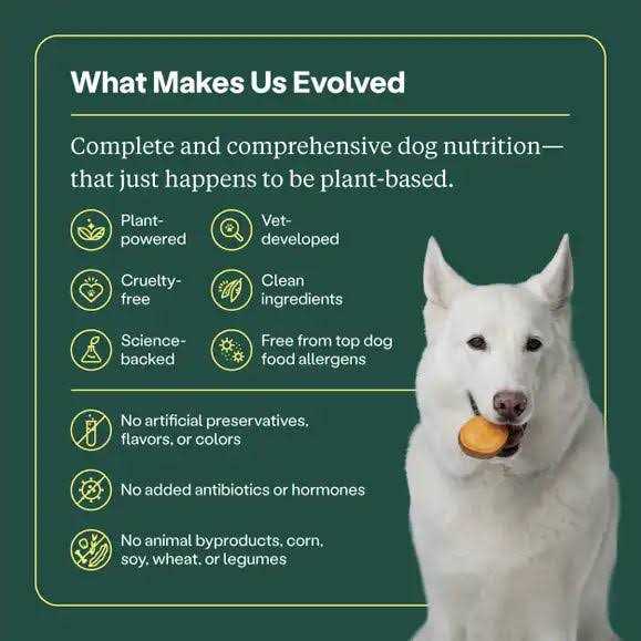 Dry Dog Food H522620