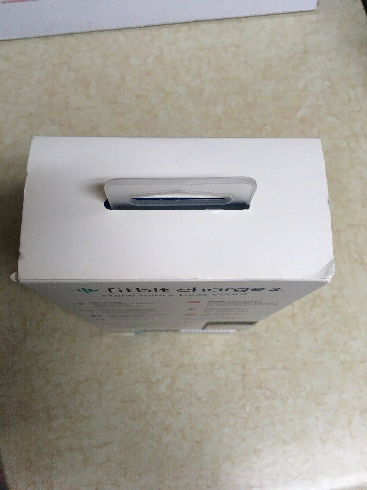 Plum Fitness Wristband G744141