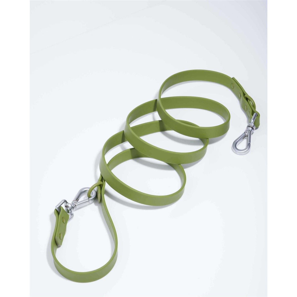 Dog Leash F851584