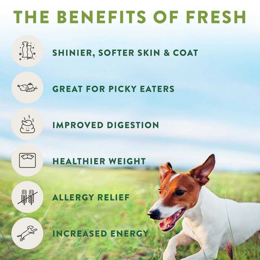 Chicken Recipe Dog Food Roll P852884