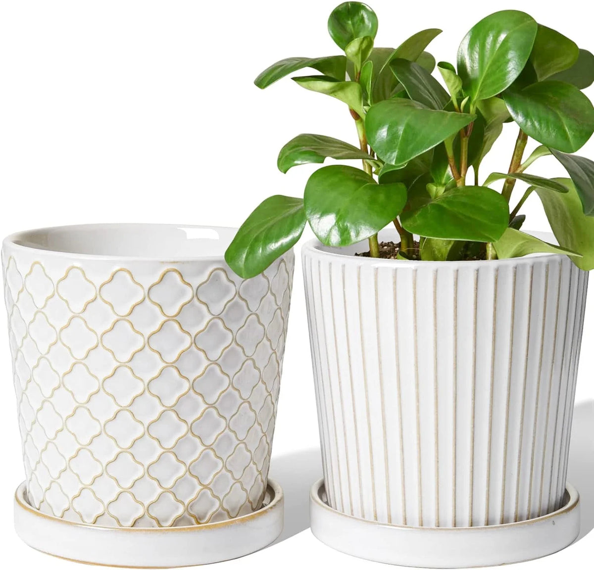 5.4 Inch Embossed Ceramic Plant Pots with Drainage, Set of 2, White Q496115