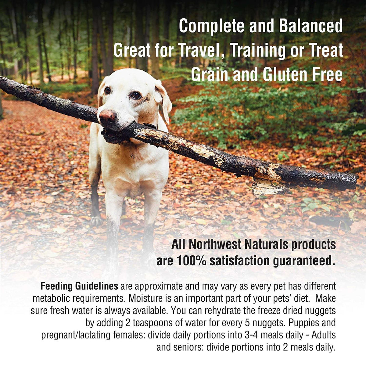 Freeze-Dried Raw Dog Food J5540