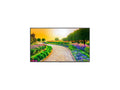Black 43" 3840 x 2160 (4K) LED LCD Monitor Y5723