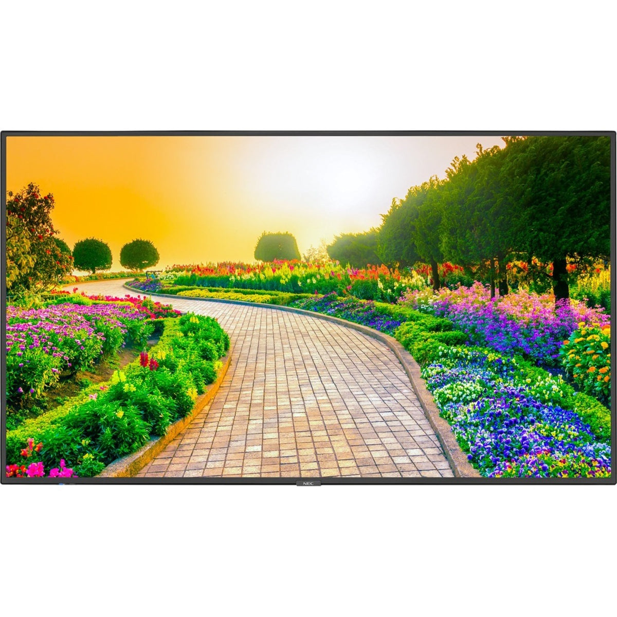 Black 43" 3840 x 2160 (4K) LED LCD Monitor Y5723