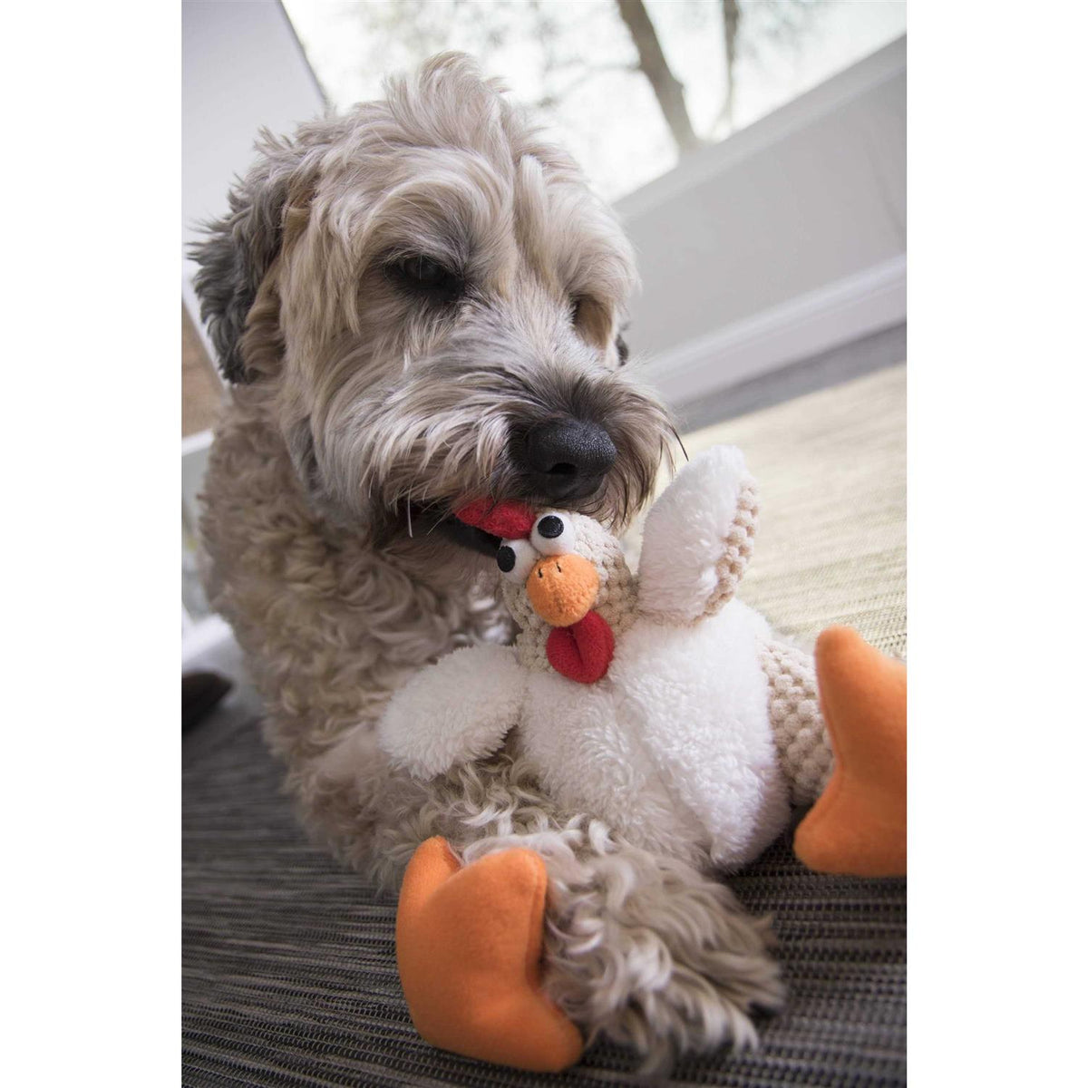 Dog Toy Y39959