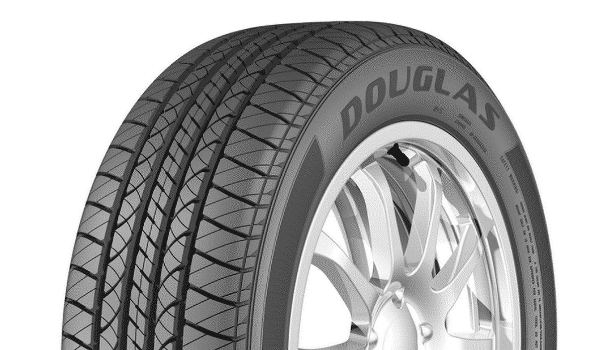 All-Season Tire V179087