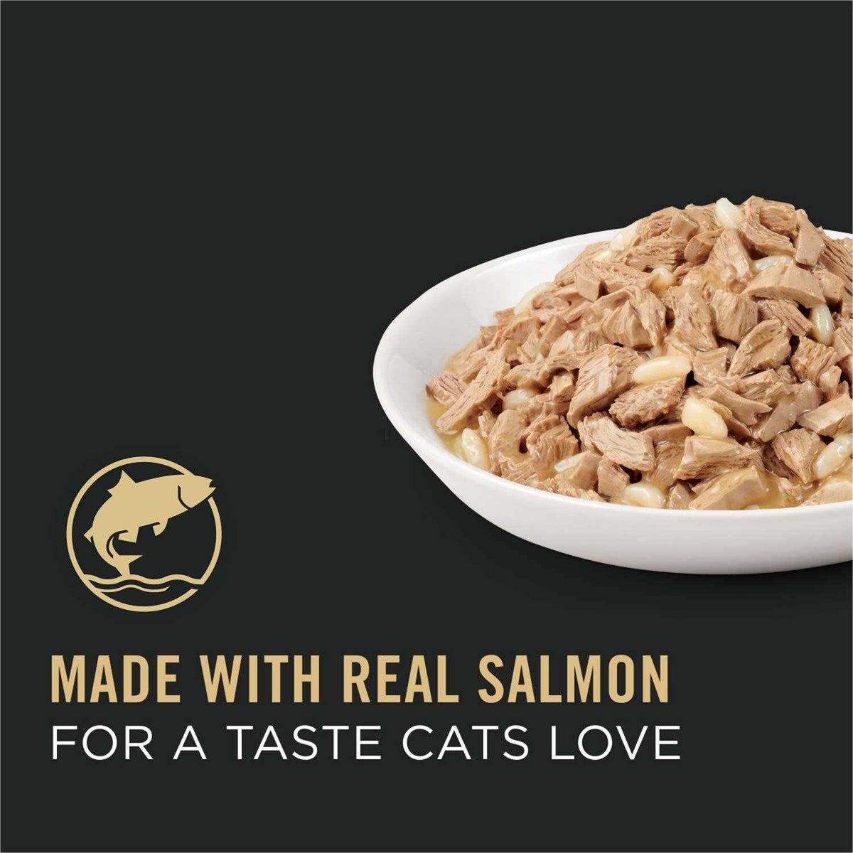 Adult Cat Food Salmon & Rice Entree in Sauce K740009