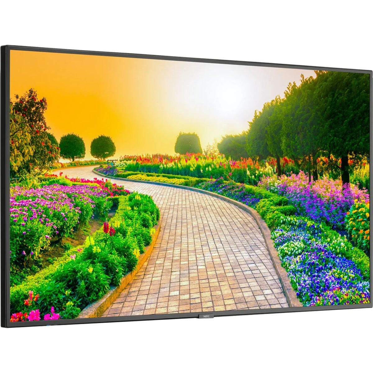 Black 43" 3840 x 2160 (4K) LED LCD Monitor Y5723