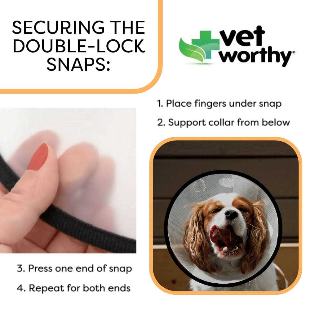 Protective Cone Collar R723255