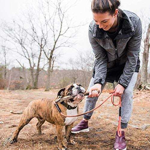 Grain-Free Dry Dog Food L880